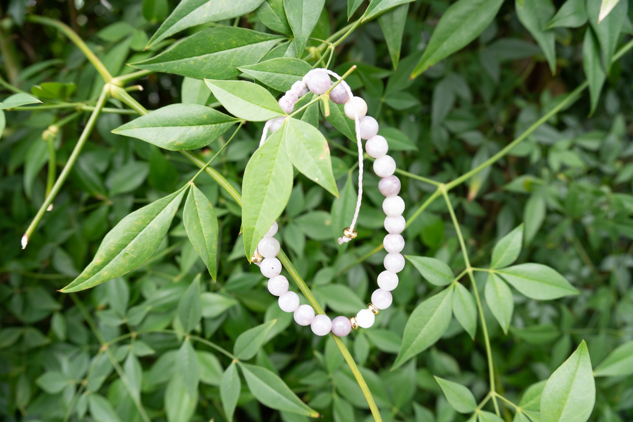 A pink gemstone bracelet on a background of greenery.